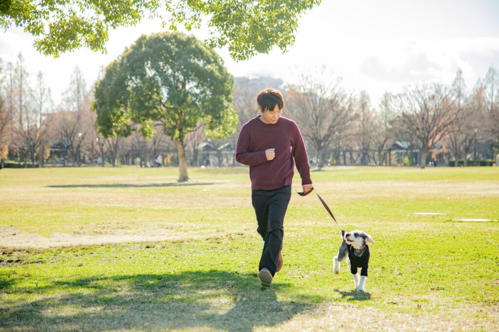 お散歩トレーニングをする代表原口とシュナウザー