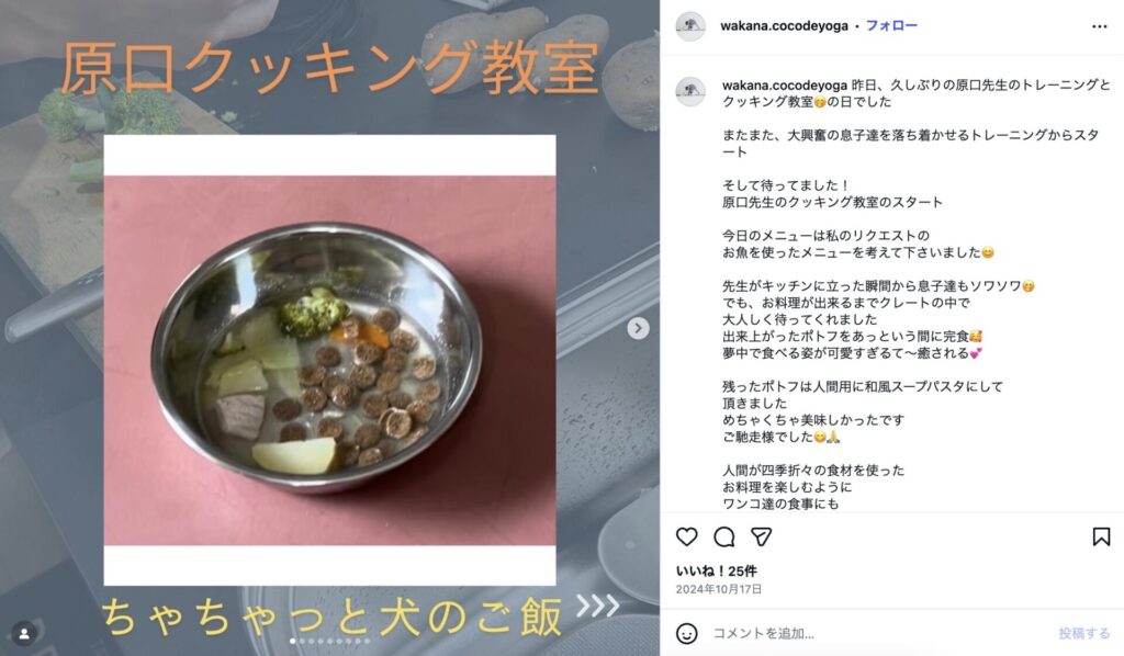 お客様の声「愛犬用スープ」