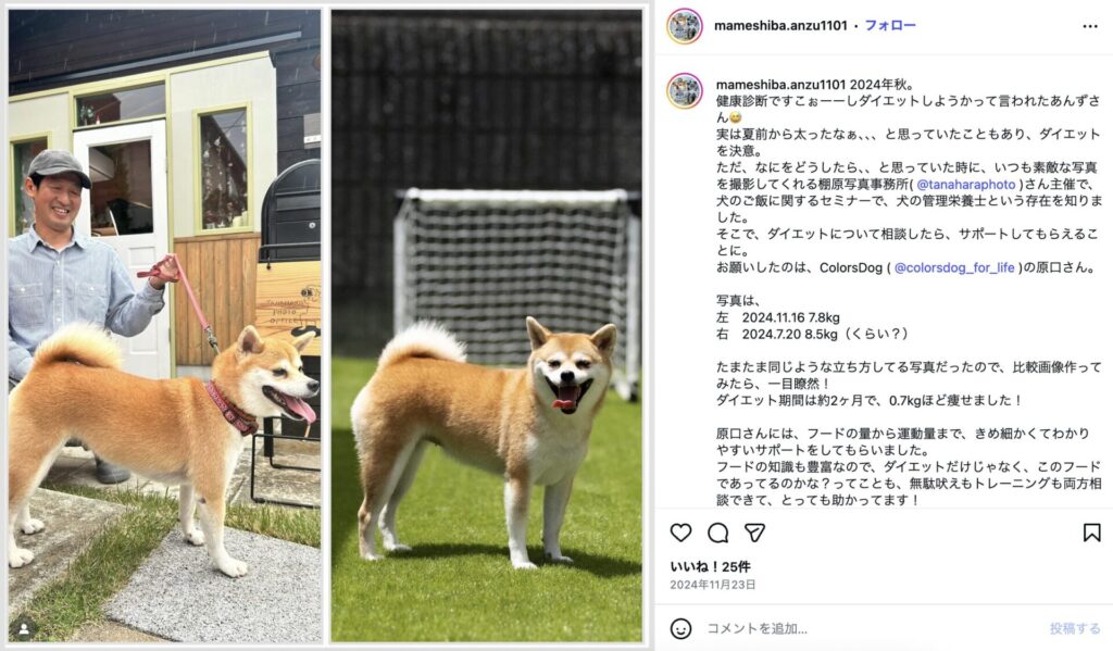 お客様の声「愛犬のダイエット成功」