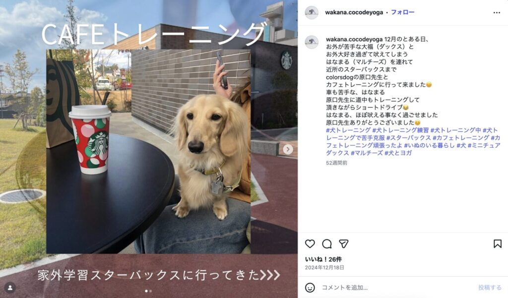 お客様の声「愛犬とカフェでトレーニング」