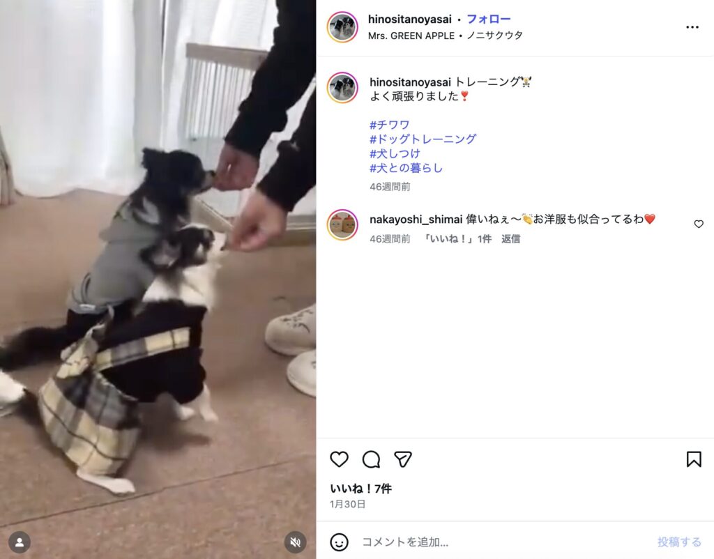 お客様の声「自宅レッスンも順調」